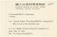登錄號:A00005097藏品圖，第2張