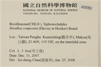 登錄號:A00005098藏品圖，第2張
