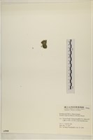 登錄號:A00005098藏品圖，第3張