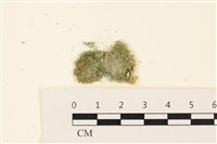 登錄號:A00005098藏品圖，第1張