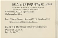 登錄號:A00005119藏品圖，第2張