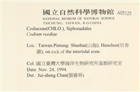 登錄號:A00005125藏品圖，第2張