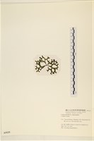 登錄號:A00005125藏品圖，第3張