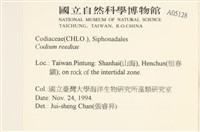 登錄號:A00005128藏品圖，第2張