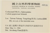 登錄號:A00005150藏品圖，第2張