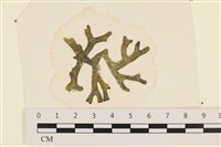 登錄號:A00005150藏品圖，第1張