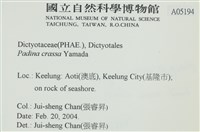 登錄號:A00005194藏品圖，第2張