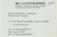 登錄號:A00005195藏品圖，第2張