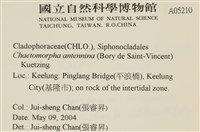 登錄號:A00005210藏品圖，第2張