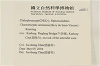 登錄號:A00005211藏品圖，第2張