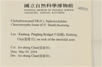 登錄號:A00005213藏品圖，第2張