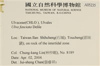 長片石蓴, 裂片石蓴藏品圖，第2張