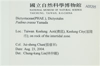 登錄號:A00005295藏品圖，第2張