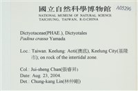 登錄號:A00005296藏品圖，第2張