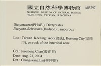 網目藻藏品圖，第2張