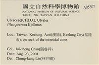 石蓴藏品圖，第2張