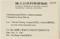 登錄號:A00005320藏品圖，第2張