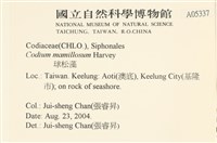 登錄號:A00005337藏品圖，第2張