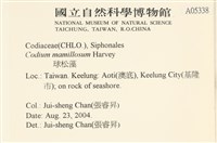 登錄號:A00005338藏品圖，第2張