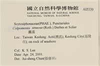 登錄號:A00005339藏品圖，第2張