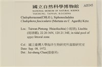 登錄號:A00005345藏品圖，第2張