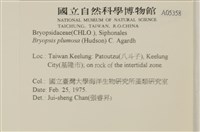 登錄號:A00005358藏品圖，第2張