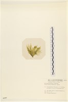 登錄號:A00005359藏品圖，第3張
