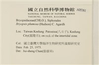 登錄號:A00005361藏品圖，第2張
