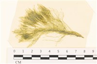 登錄號:A00005361藏品圖，第1張