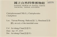 登錄號:A00005376藏品圖，第2張