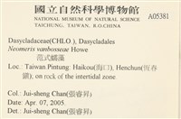 范氏蠕藻藏品圖，第2張