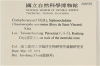 Accession Number:A00005418 Collection Image, Figure 2, Total 3 Figures