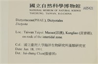 登錄號:A00005421藏品圖，第2張