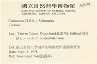登錄號:A00005449藏品圖，第2張