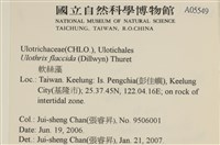 登錄號:A00005549藏品圖，第2張