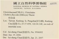 登錄號:A00005550藏品圖，第2張