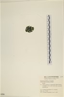 登錄號:A00005550藏品圖，第3張