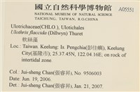 登錄號:A00005551藏品圖，第2張