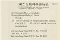 登錄號:A00005552藏品圖，第2張