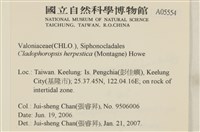 登錄號:A00005554藏品圖，第2張