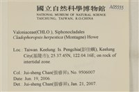 登錄號:A00005555藏品圖，第2張