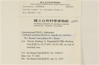 登錄號:A00005561藏品圖，第2張