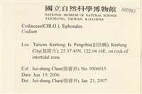 登錄號:A00005563藏品圖，第2張