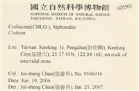 登錄號:A00005564藏品圖，第2張