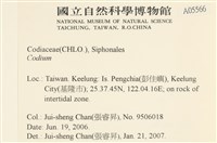登錄號:A00005566藏品圖，第2張