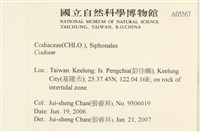 登錄號:A00005567藏品圖，第2張