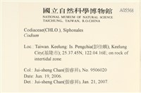 登錄號:A00005568藏品圖，第2張