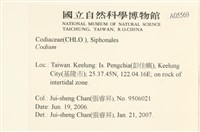 登錄號:A00005569藏品圖，第2張