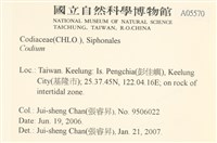 登錄號:A00005570藏品圖，第2張
