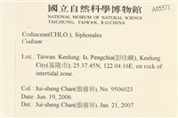 登錄號:A00005571藏品圖，第2張